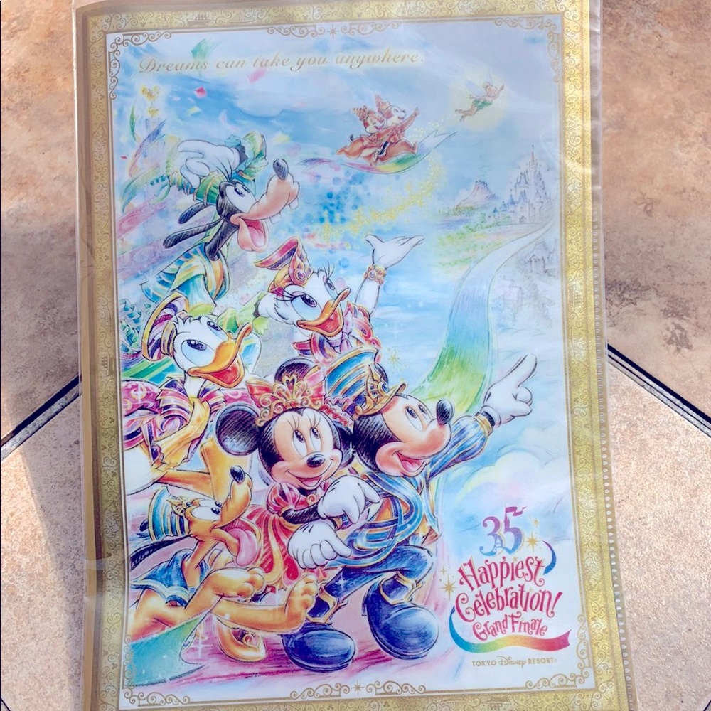 Tokyo Disney (2) File Folders